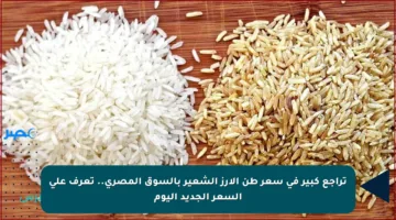 تراجع كبير في سعر طن الأرز الشعير بالسوق المصري.. تعرف على السعر الجديد اليوم